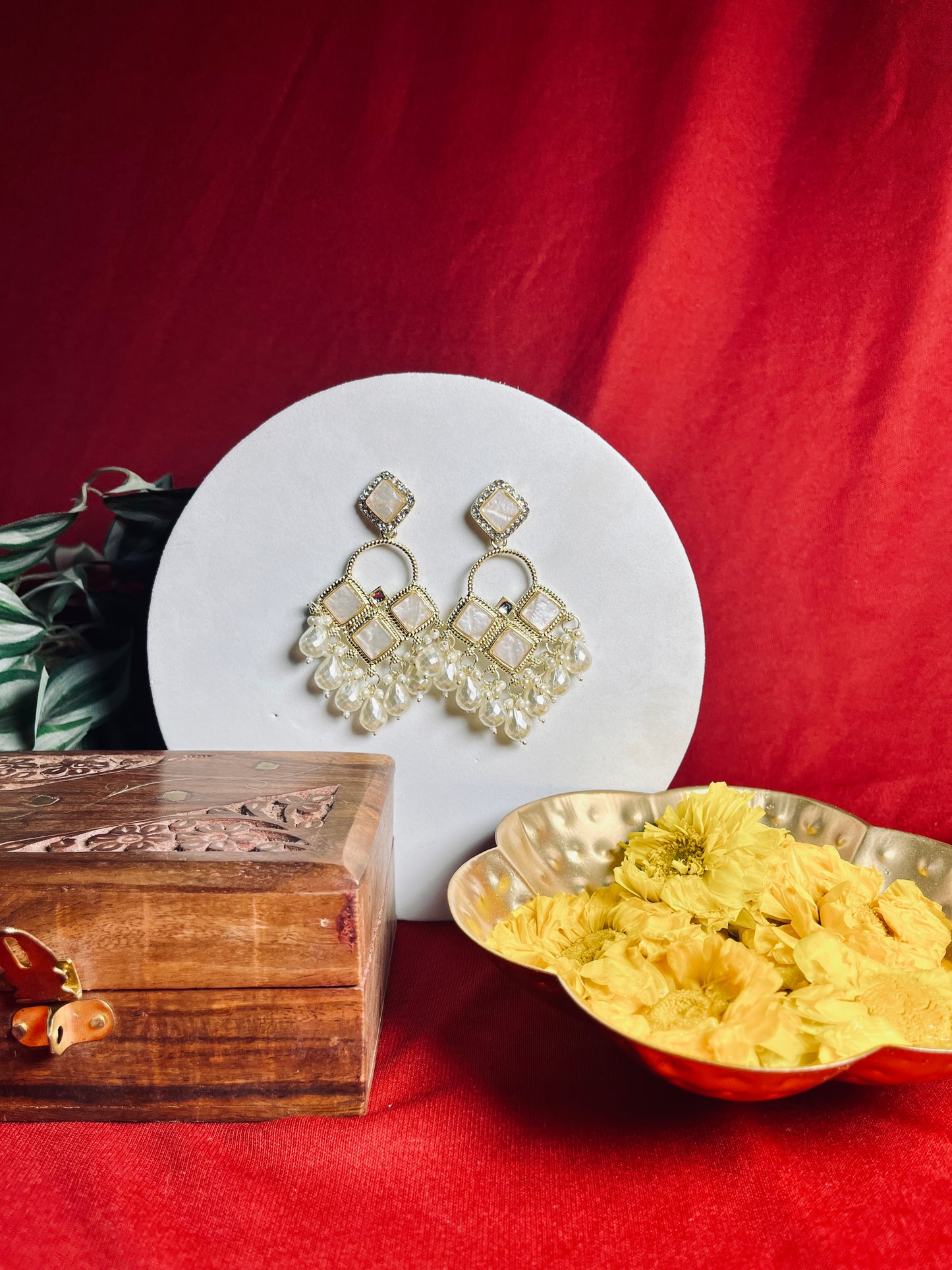 Megha Danglers