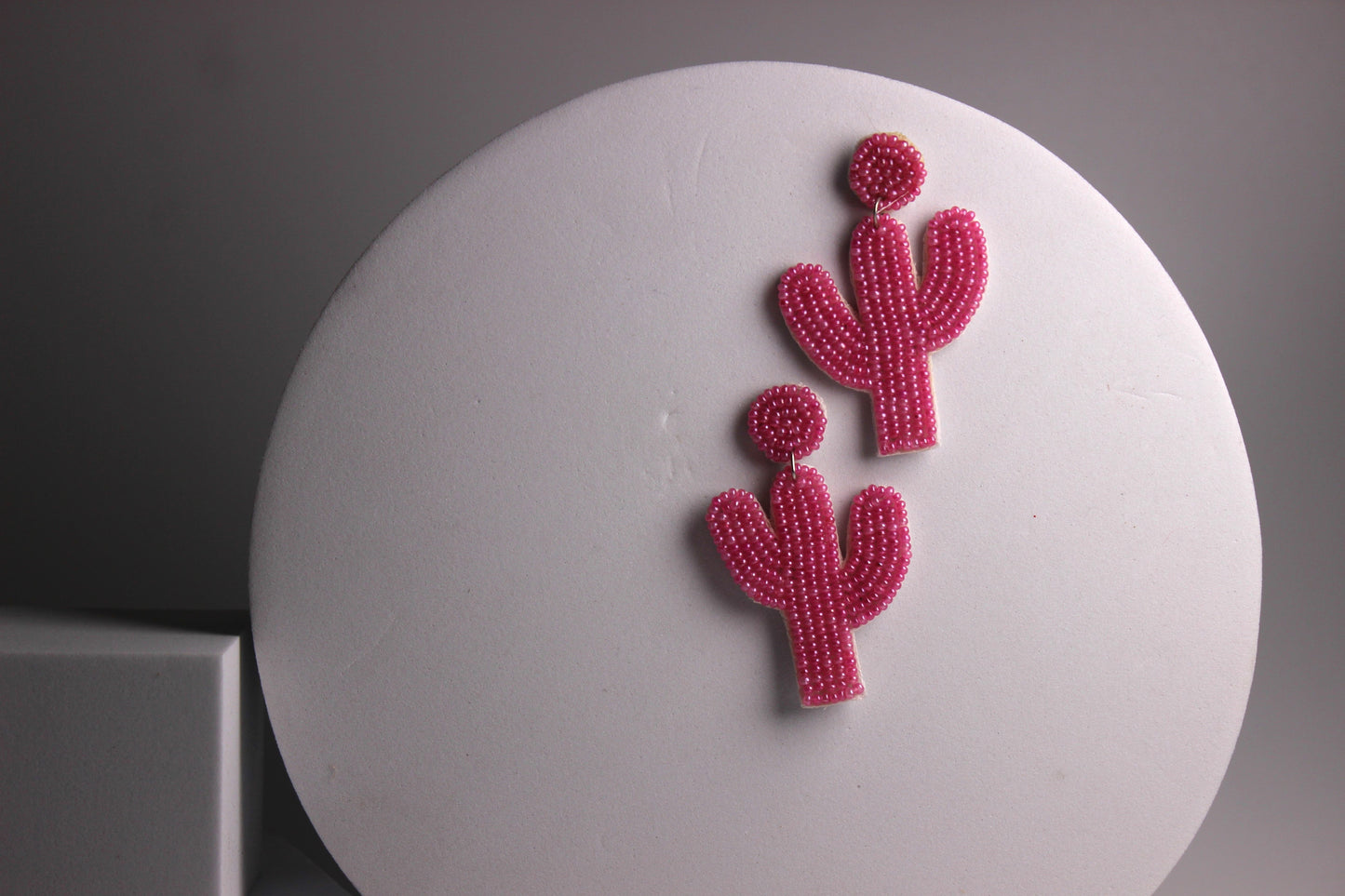 Cacti Cuteness